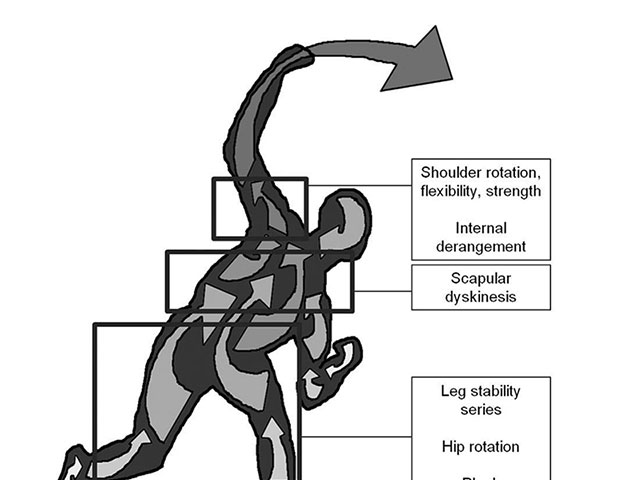 Kinetic Chain